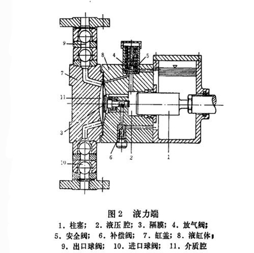 計量泵結(jié)構(gòu)